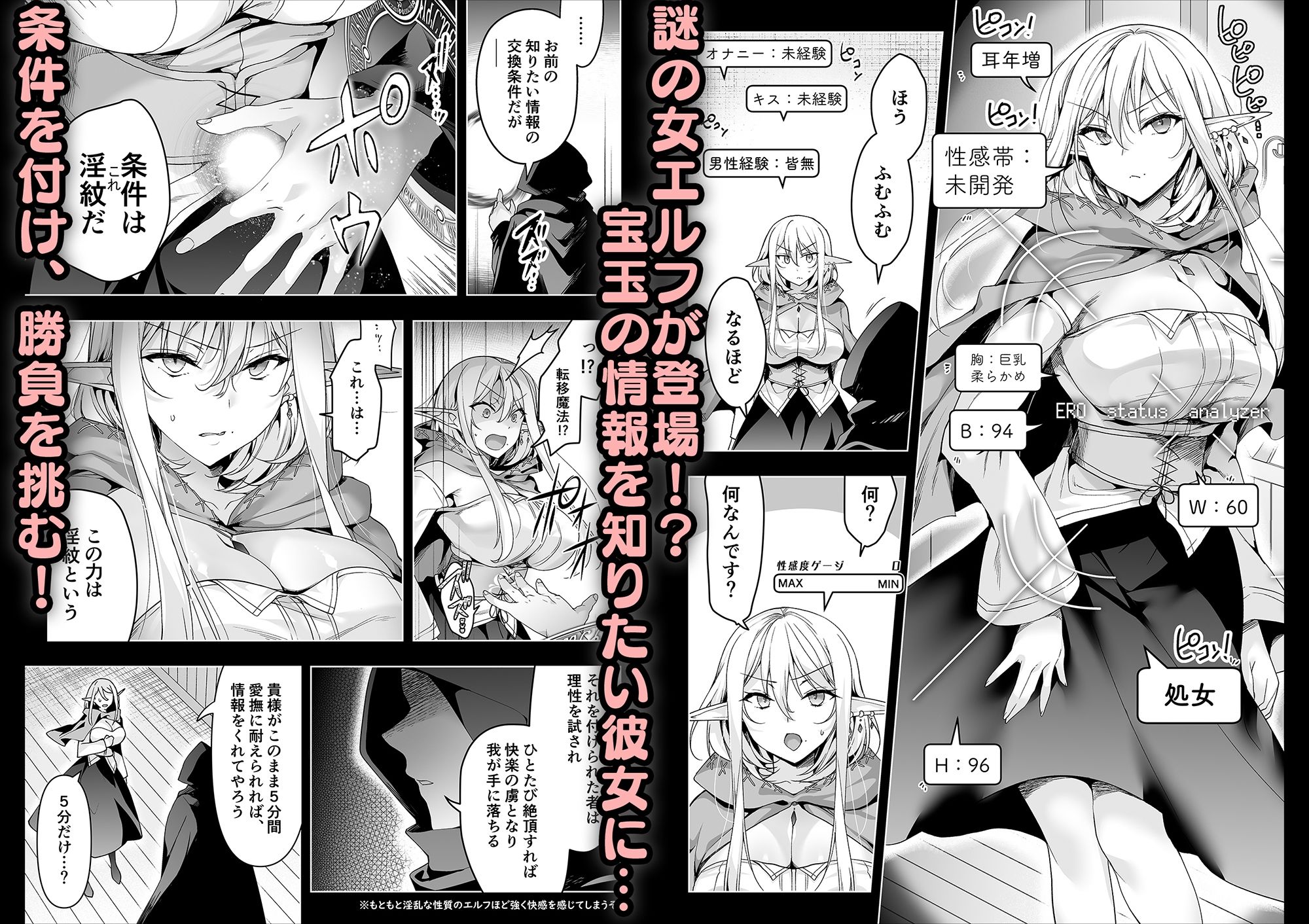 エルフに淫紋を付ける本 LEVEL:6 画像5