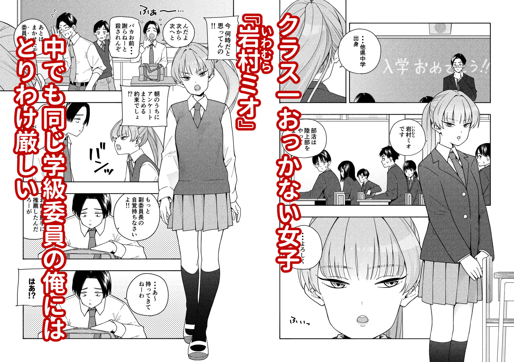 カムフラージュ 画像1